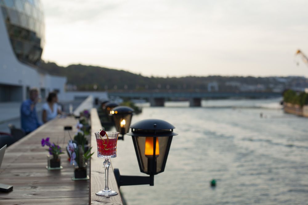 NEW ROSE 17 Photos 1 Ile Seguin, BoulogneBillancourt, Hautsde