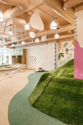 Wild Child Gym by null