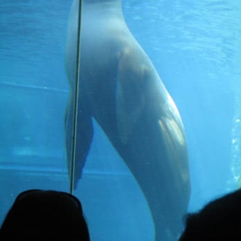 El Paso Zoo - Aquariums Near Me - El Paso, Texas El Paso Zoo - Aquariums Near Me - El Paso, Texas