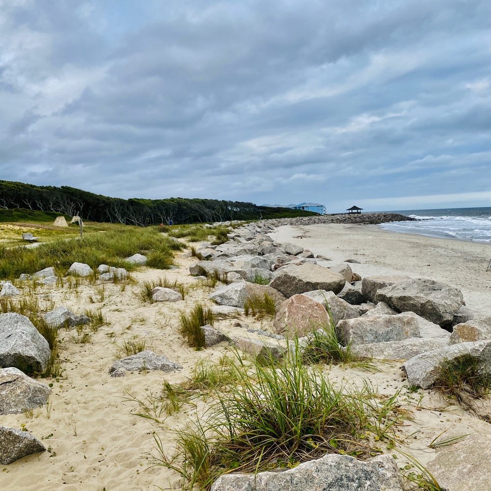 Is Kure Beach Dog Friendly