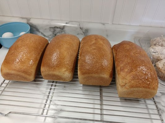 Slow Lane Coffee by null