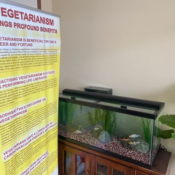 Cisu Vegan House - Entrance lobby - Vegan Near Me - Hanover, Maryland