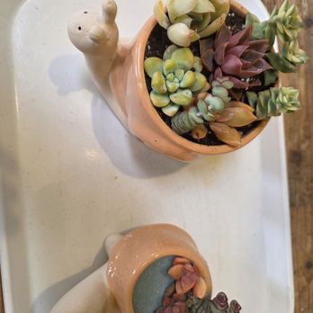 Pigment - 1 beach themed inspired turtle with 3 mini succulents. 1  succulent plant made for a dorm by my daughter! - Home Decor Near Me - San Diego, California