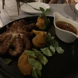 Octopus Octopus
