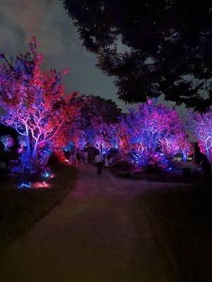 teamLab Botanical Garden Osaka by null