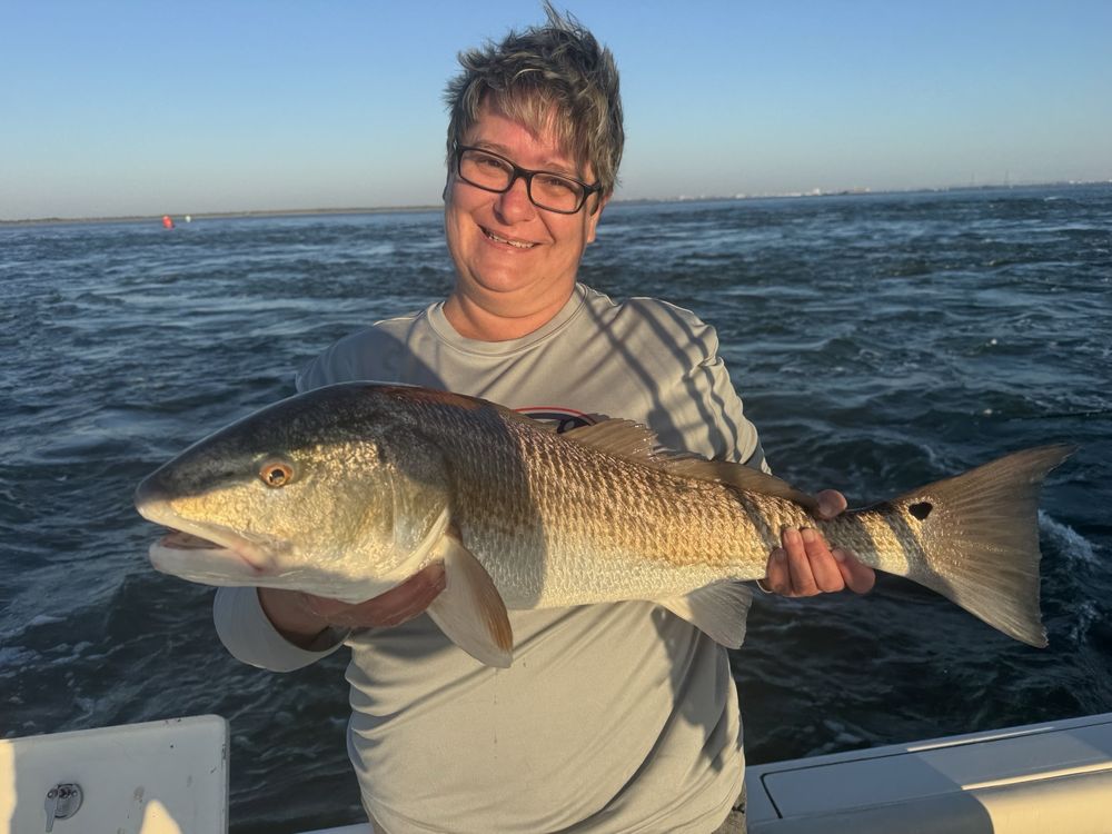 Reel Fish Finder Charters Logo