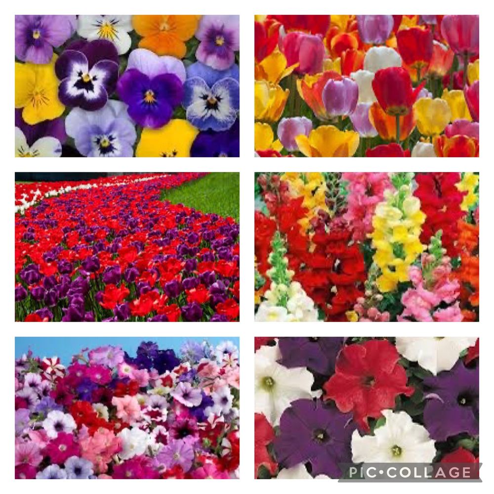 Hauser Homestead - beekeeping in Cincinnati, OH