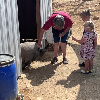 Desert Rose Ranch - Petting Zoos Near Me - Virginia City, Nevada Desert Rose Ranch - Petting Zoos Near Me - Virginia City, Nevada