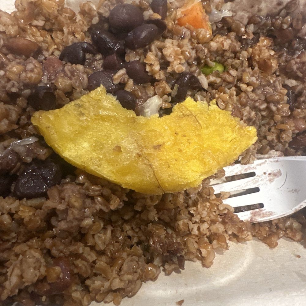 This is the plate I ordered and I cannot finish because it is nasty This is the plate I ordered and I cannot finish because it is nasty