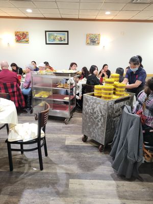 Star Kitchen by null Star Kitchen by null