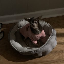 Atlanta West Veterinary Hospital