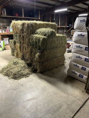 Hay Connection by null