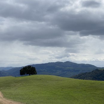 Pleasanton Ridge Regional Park - Parks Near Me - Pleasanton, California