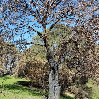 Shiloh Ranch Regional Park - Parks Near Me - Windsor, California Shiloh Ranch Regional Park - Parks Near Me - Windsor, California
