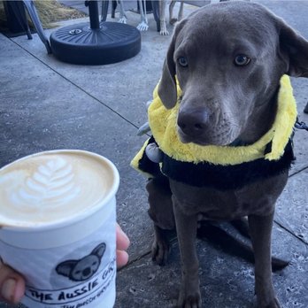 The Aussie Grind - Cafes Near Me - Frisco, Texas The Aussie Grind - Cafes Near Me - Frisco, Texas