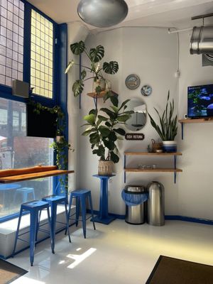 Angelina's Greek Gyros by null