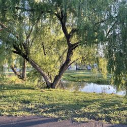Braunig Lake RV Resort - Little canal