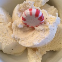 Good Humor Breyer's Ice Cream - I added a peppermint candy to make my Breyer's vanilla ice cream look fancy and taste better! 07/03/21