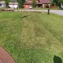 Photo of Erikeiber Tree Service