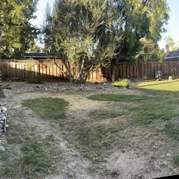 Garden Bros Landscape Services - Before - Landscaping Near Me