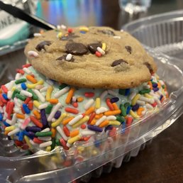 Vegan Mint Chocolate Chip