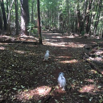 Waihou Spring Trail - Hiking Near Me - Makawao, Hawaii Waihou Spring Trail - Hiking Near Me - Makawao, Hawaii
