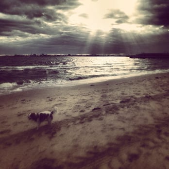 Pickles Street Beach - Local Flavor Near Me - Port Melbourne, VIC