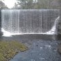 Photo of Puffer's Pond