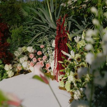 Amor Del Bueno Flowers - Florists Near Me - Houston, Texas Amor Del Bueno Flowers - Florists Near Me - Houston, Texas