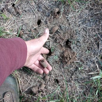 JS Lawncare - a person's hand reaching for a piece of grass - Lawn Services Near Me JS Lawncare - a person's hand reaching for a piece of grass - Lawn Services Near Me