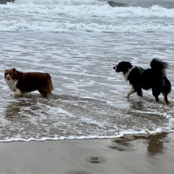 Kehoe Beach - Kehoe Beach