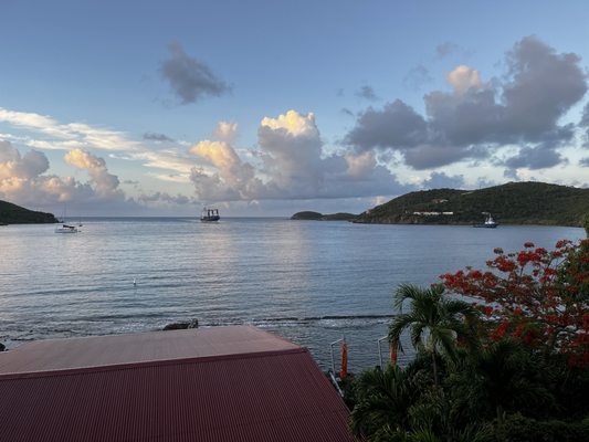 Olga's Fancy by null