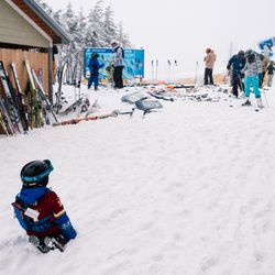 Snowshoe Mountain