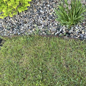 Jorge Sanchez - The is what was left after two weeks of Sanchez lawn care. The is only 4 days after the previous week's mowing. - Lawn Services Near Me Jorge Sanchez - The is what was left after two weeks of Sanchez lawn care. The is only 4 days after the previous week's mowing. - Lawn Services Near Me