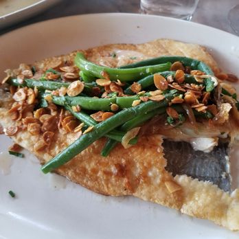 Culinary Dropout - Trout... That's my bite lol - New American Near Me - Phoenix, Arizona
