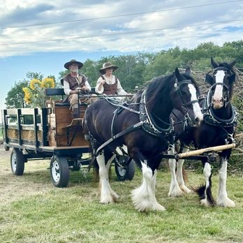 Merrybeth Farm Carriage Service - Attraction Farms Near Me Merrybeth Farm Carriage Service - Attraction Farms Near Me