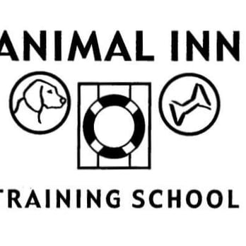 Animal Inn Training Schools - Pet Training Near Me - Lake Elmo, Minnesota Animal Inn Training Schools - Pet Training Near Me - Lake Elmo, Minnesota