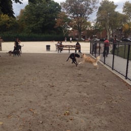Big dog run Big dog run