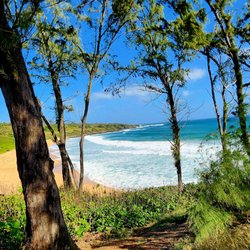 Eco Ebikes Kauai