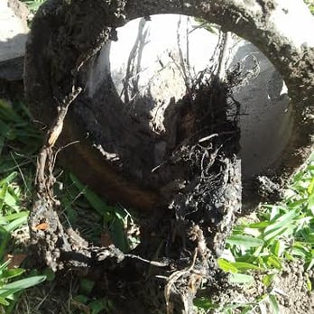 Purdy Plumbing & Drain - Root extraction from the main line. - Plumbing Near Me - Fullerton, California
