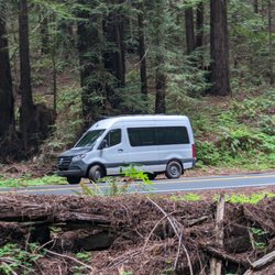 Navarro River Redwoods State Park - There's my van!