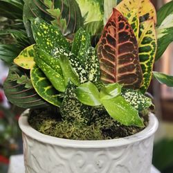 Christy's Flowers