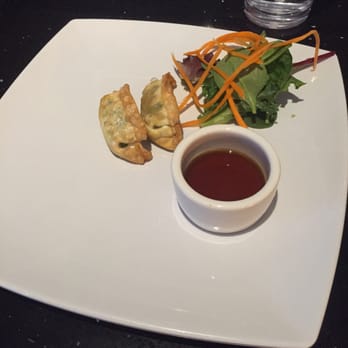 Pop Thai Restaurant - My sweet server brought fried potstickers on the house. - Thai Near Me - Orlando, Florida Pop Thai Restaurant - My sweet server brought fried potstickers on the house. - Thai Near Me - Orlando, Florida
