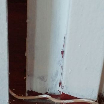 Renowned Painters - Painters Near Me Renowned Painters - Painters Near Me