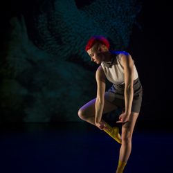 CU Theatre & Dance - Open Space