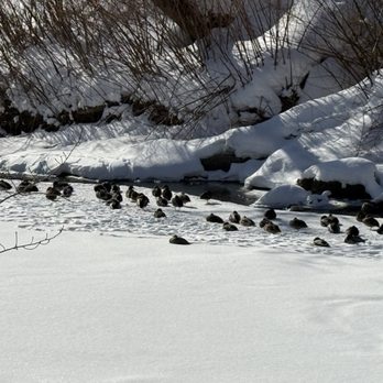 Stowe Recreation Path - Hiking Near Me