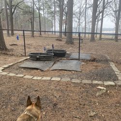Barks and Rec - Water source