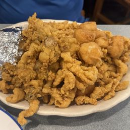 Oysters
