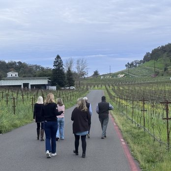 Odette Estate Winery - Winery walk - Wine Tasting Room Near Me - Napa, California Odette Estate Winery - Winery walk - Wine Tasting Room Near Me - Napa, California
