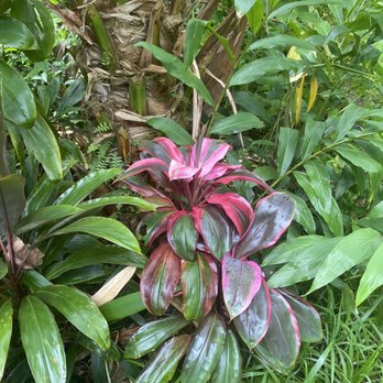 Hike Maui - Tours Near Me - Kahului, Hawaii
